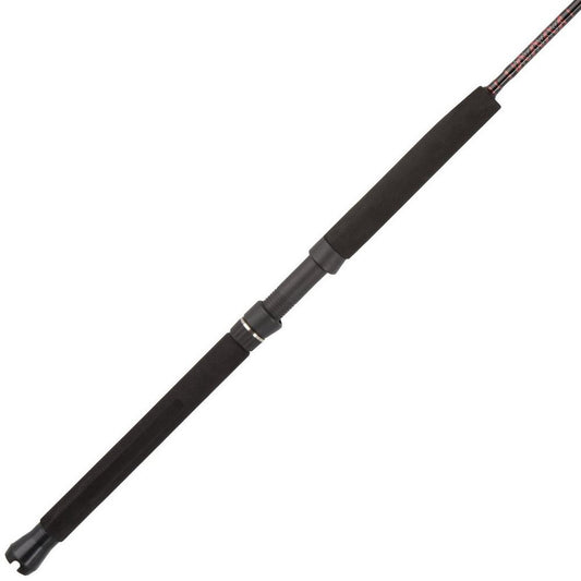 VARA PENN SPINNING RAMPAGE JIGGING